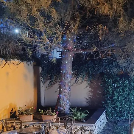 Boulevard Sea Residenz 5* サニービーチ