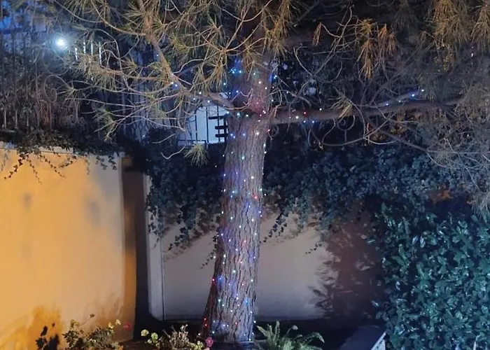 Boulevard Sea Residenz 5* 阳光海滩