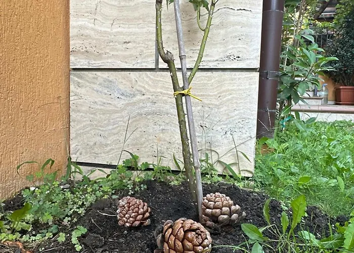 Boulevard Sea Residenz 5*